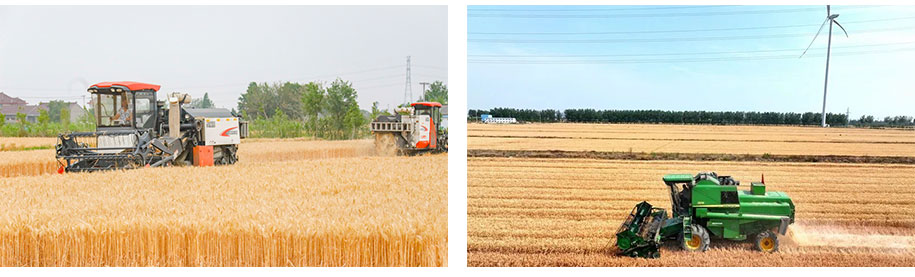 1703489291418398.jpg 公司简介.jpg